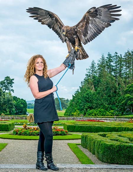 Adare Country Pursuits with Bird of Prey