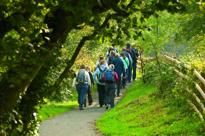 Shannon Princess Walking Cruise Walking Cruise Ireland