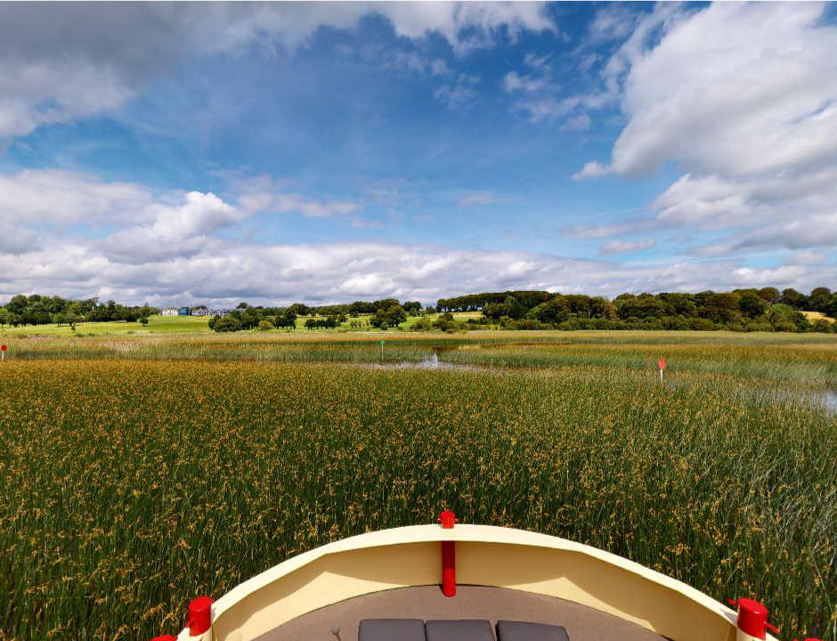 The swampy territory of the Shannon River