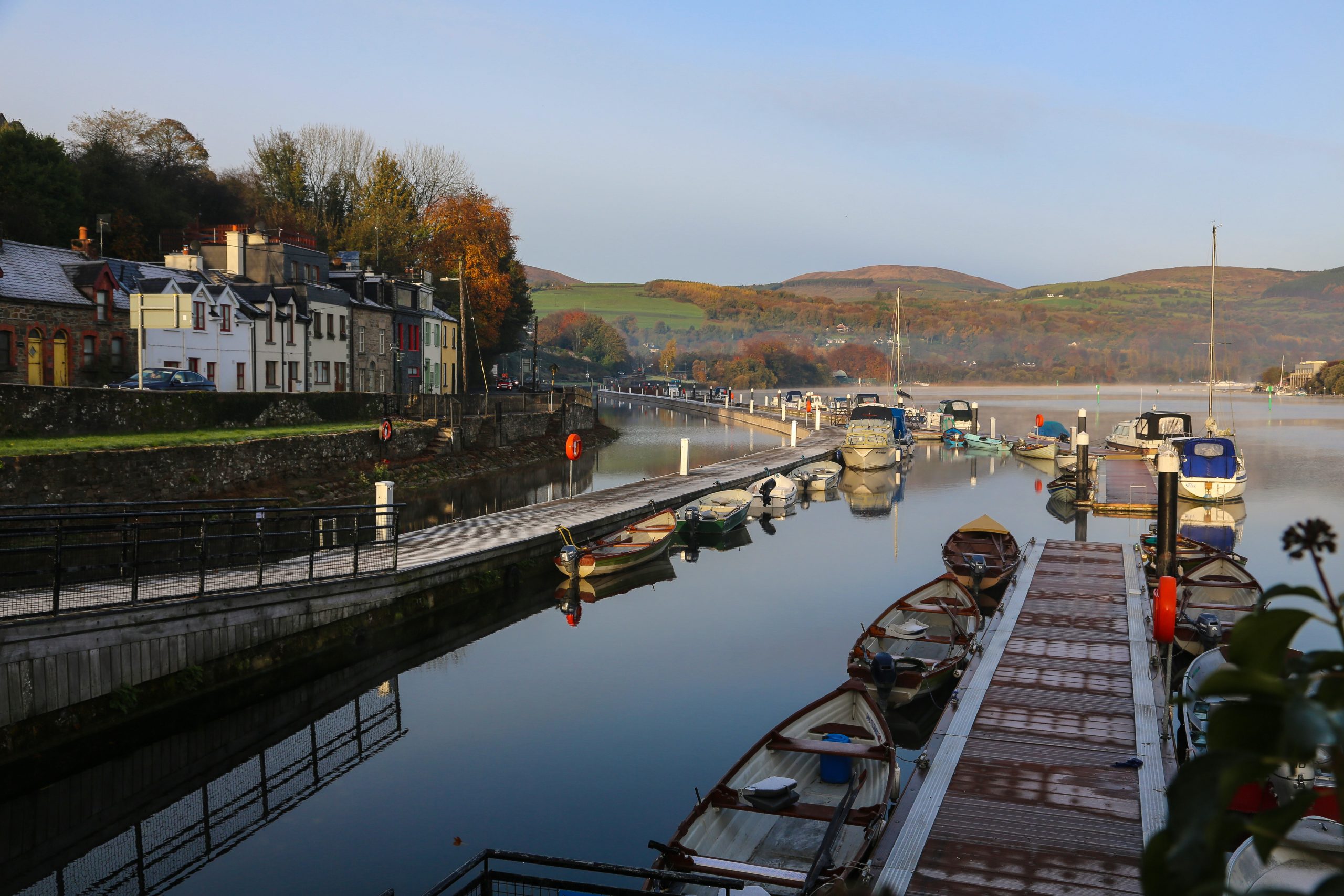 Ballina Misty Morning, Ballina, Co Tipperary_master